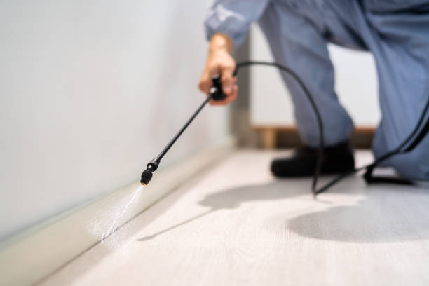 Certified termite inspector examining foundation in Williamsport