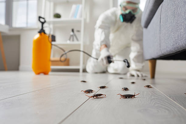 Commercial Rodent Management in Williamsport